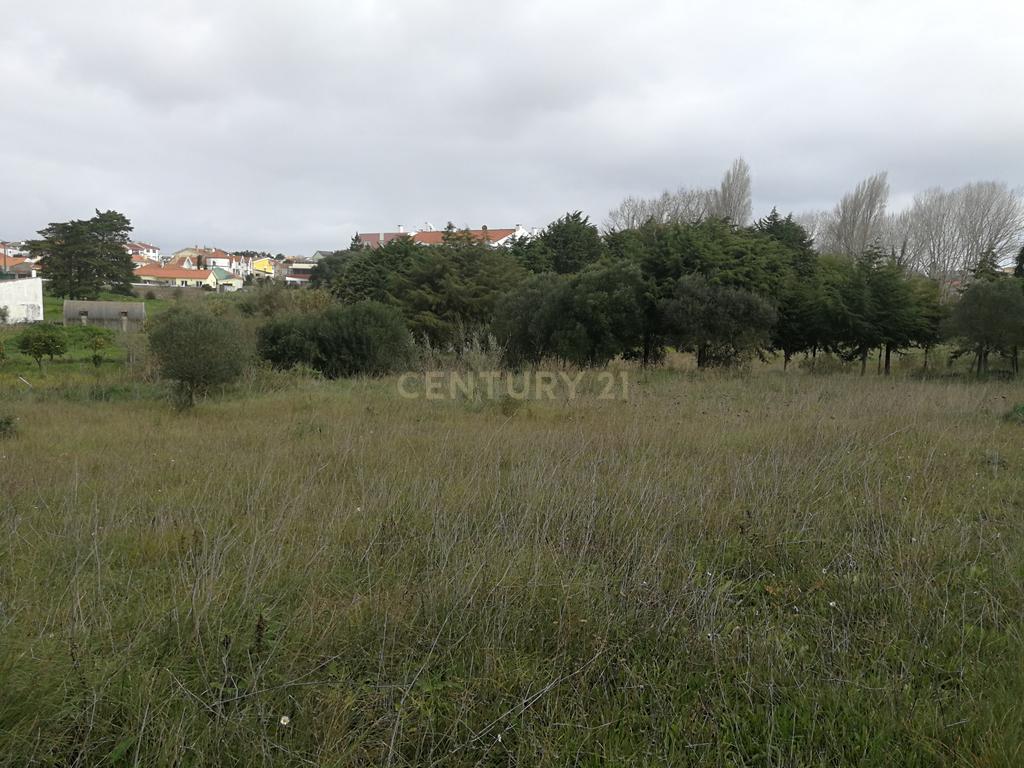 Terreno Rústico – Lourel, Sintra - Image 4