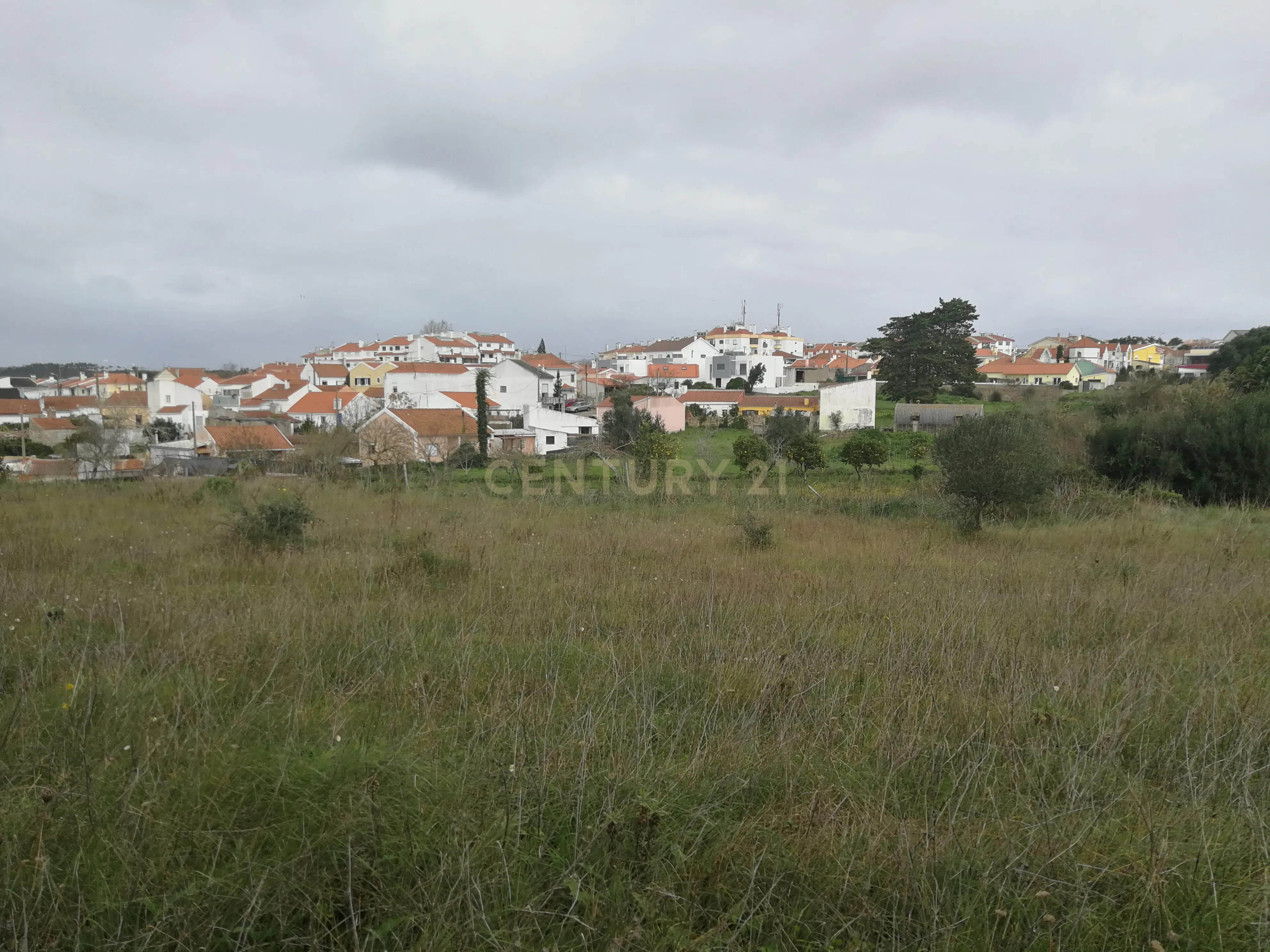 Terreno Rústico – Lourel, Sintra - Image 5