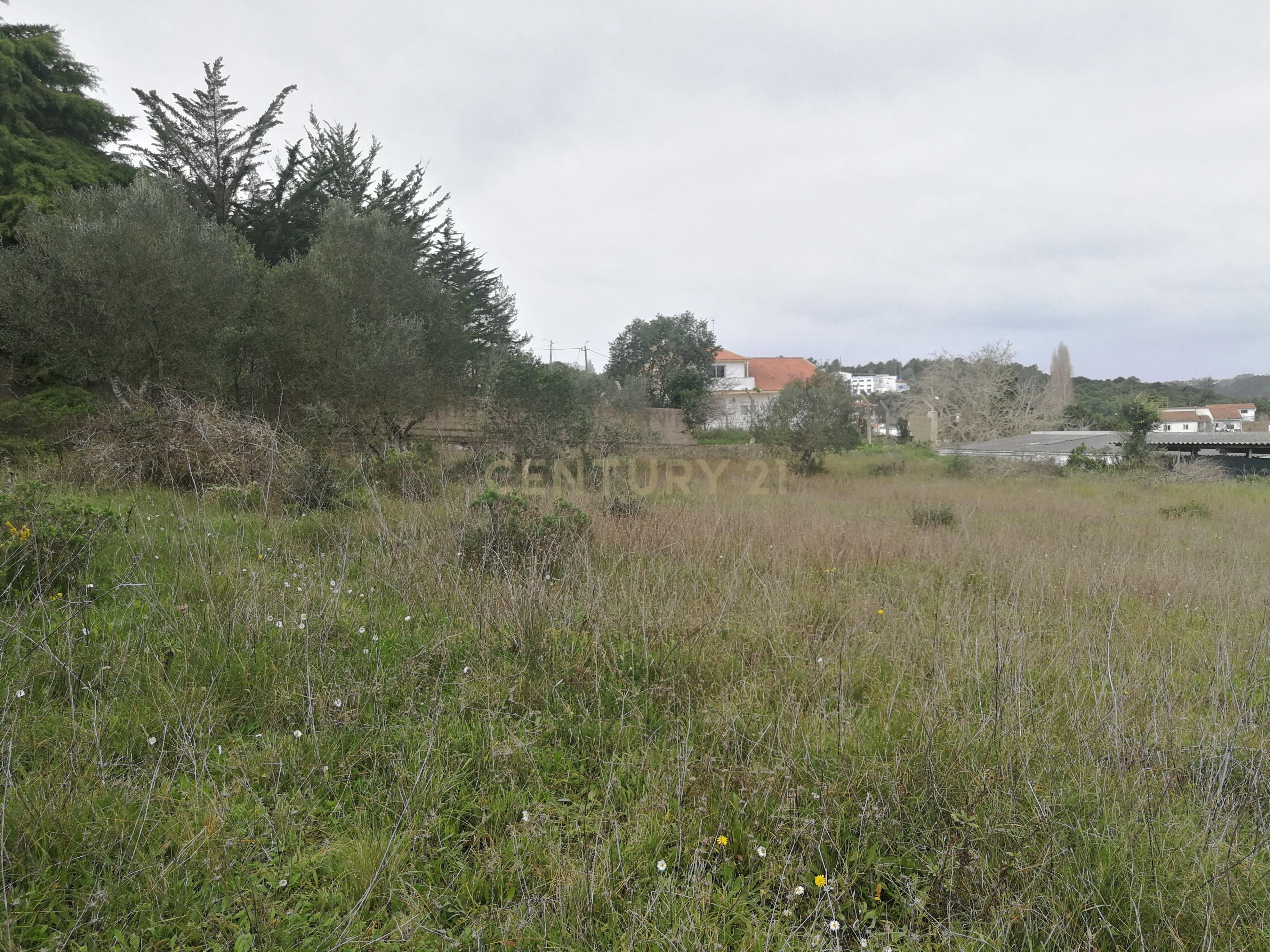 Terreno Rústico – Lourel, Sintra - Image 7