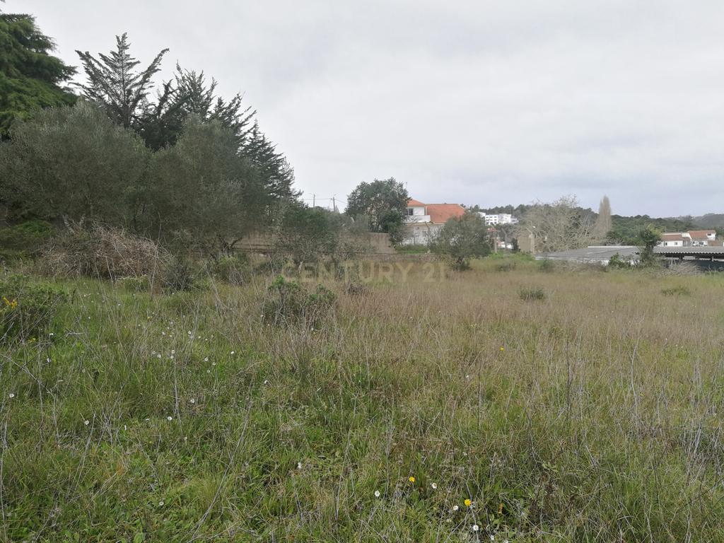Terreno Rústico – Lourel, Sintra - Image 7