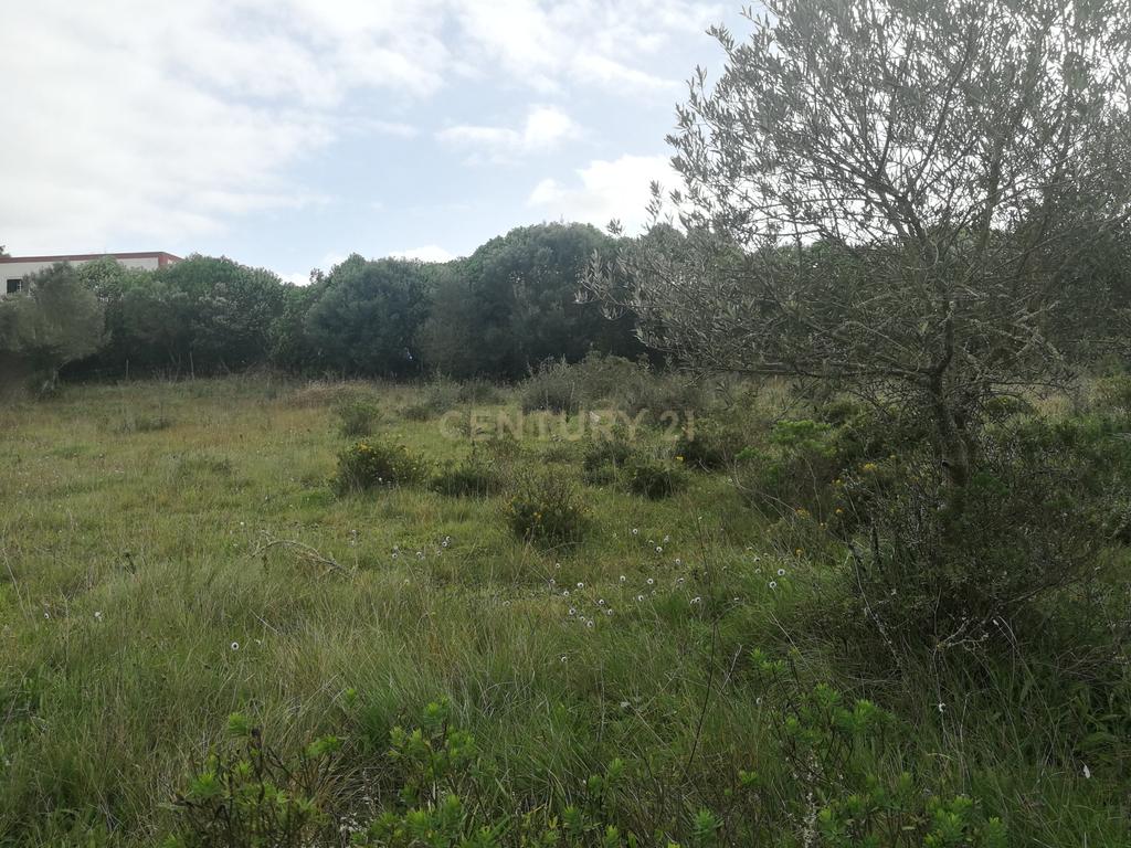 Terreno Rústico – Lourel, Sintra - Image 9