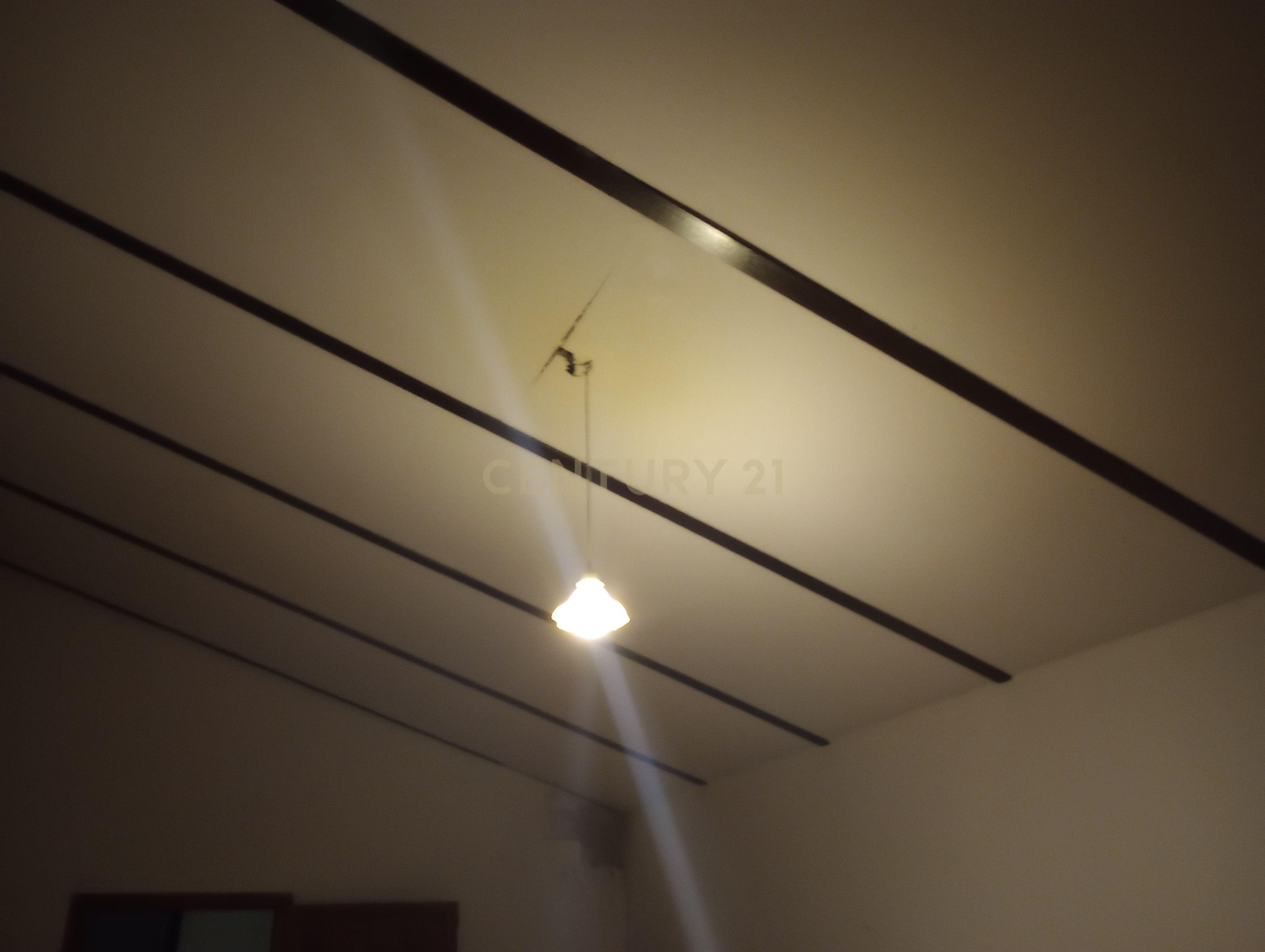 undefined - Image 31