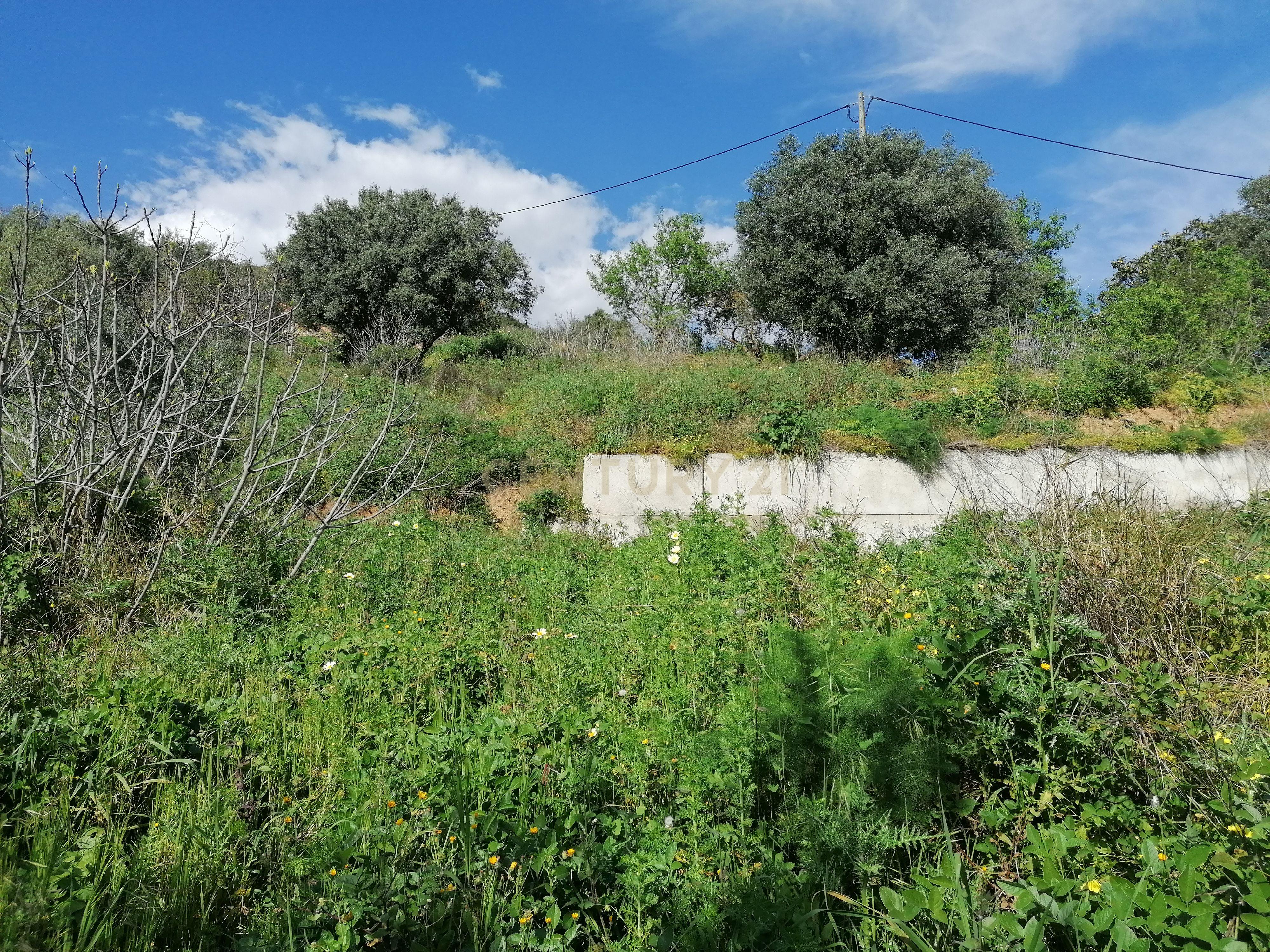 Terreno com projeto aprovado às portas de Alverca! - Image 4