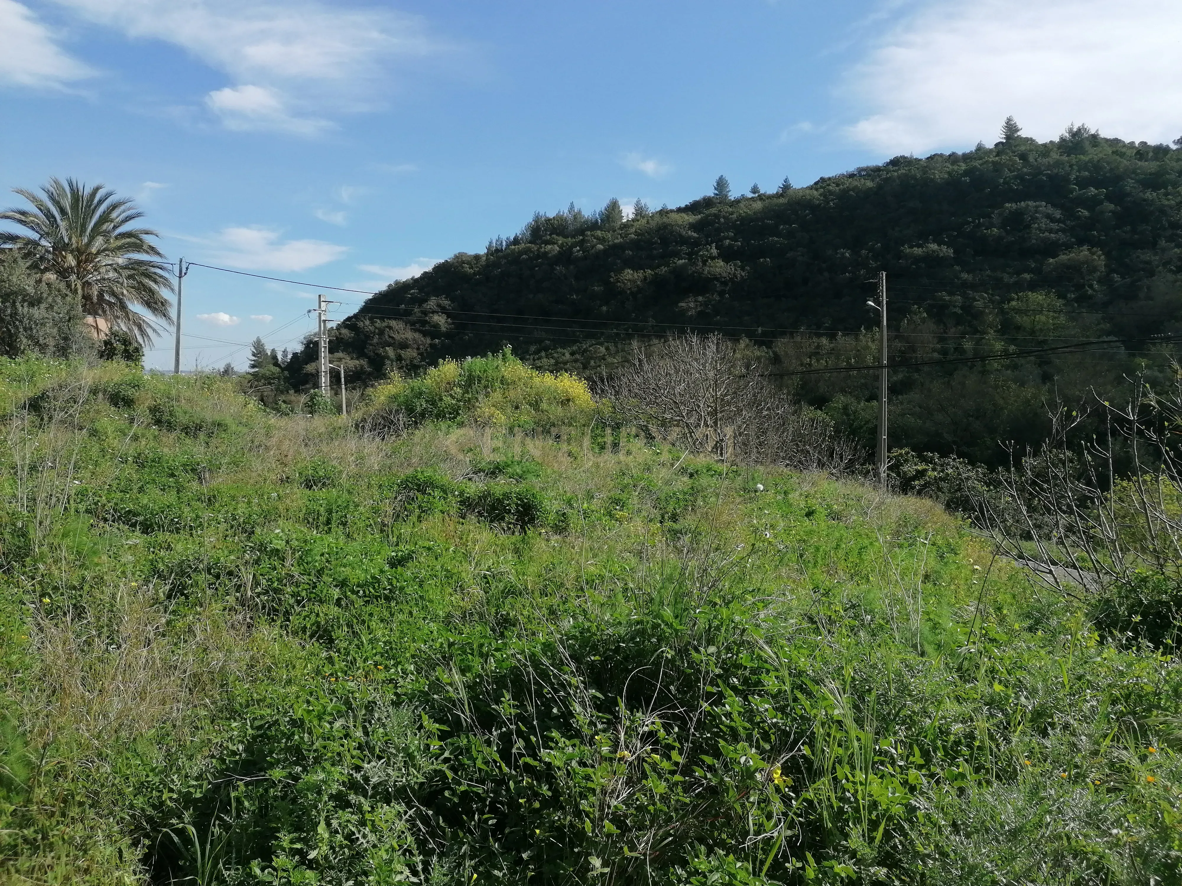 Terreno com projeto aprovado às portas de Alverca! - Image 6