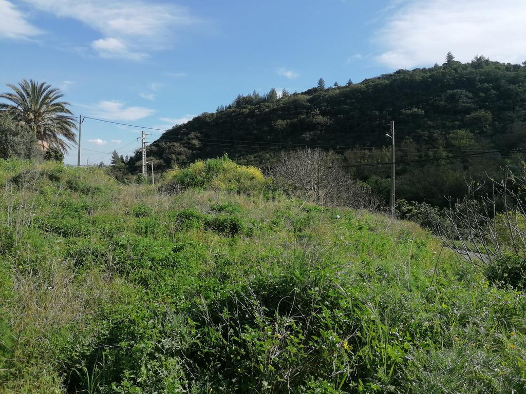 Terreno com projeto aprovado às portas de Alverca! - Image 6