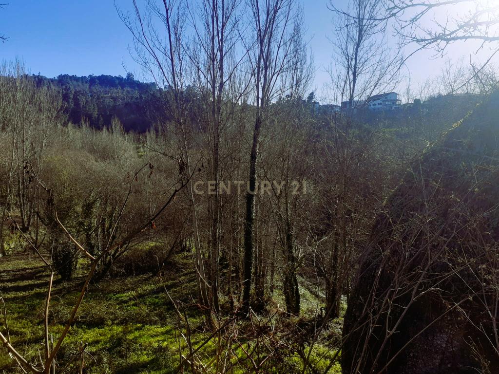 Terreno para venda na freguesia de Lufrei - Amarante, quem sonha viver uma profunda vida de amor, arte e natureza. - Image 4