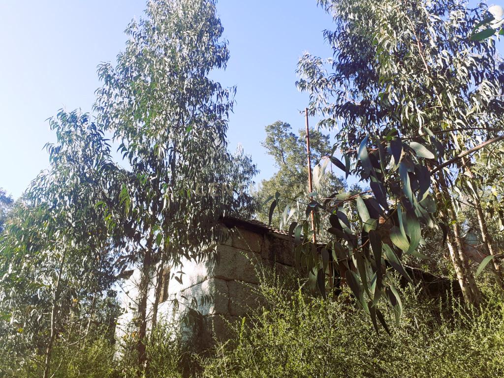 Terreno para venda na freguesia de Lufrei - Amarante, quem sonha viver uma profunda vida de amor, arte e natureza. - Image 8