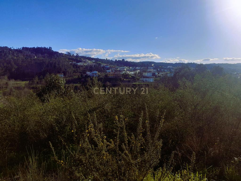 Terreno para venda na freguesia de Lufrei - Amarante, quem sonha viver uma profunda vida de amor, arte e natureza. - Image 6