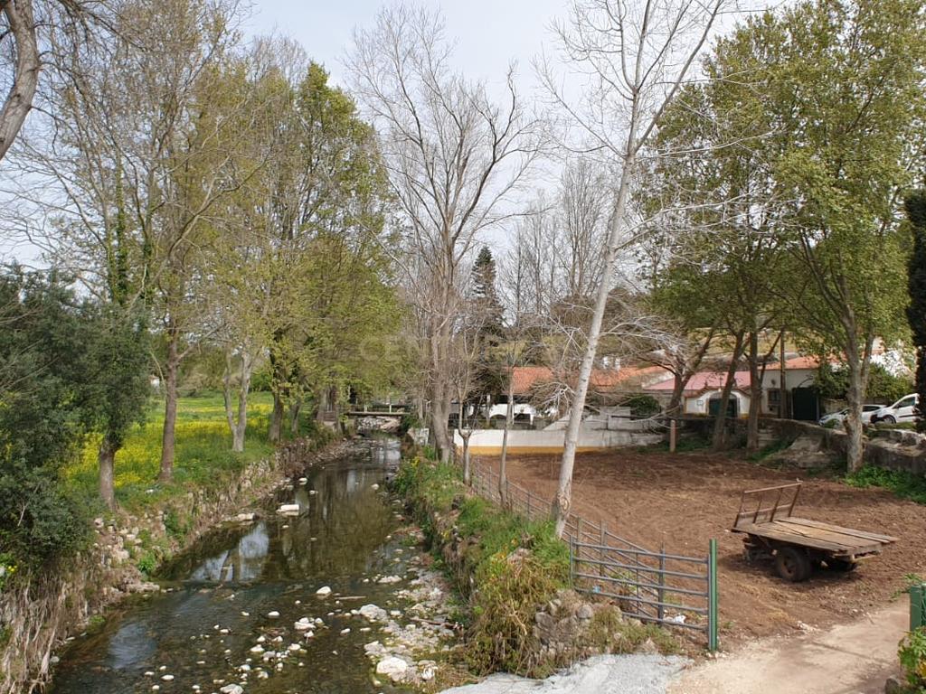 Quinta Centenária à venda em Caxias - Image 4