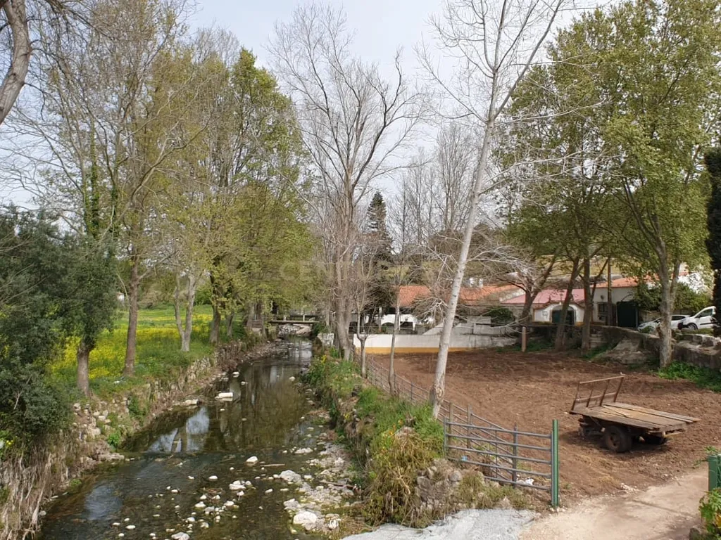 Quinta Centenária à venda em Caxias - Image 4