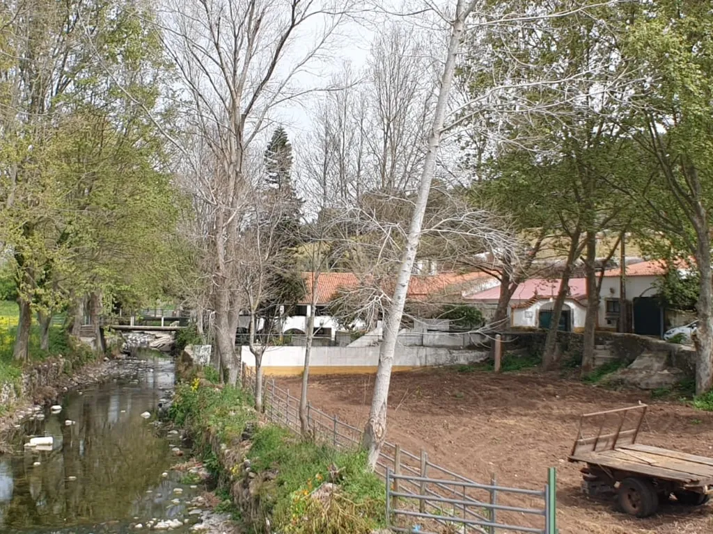 Quinta Centenária à venda em Caxias - Image 8