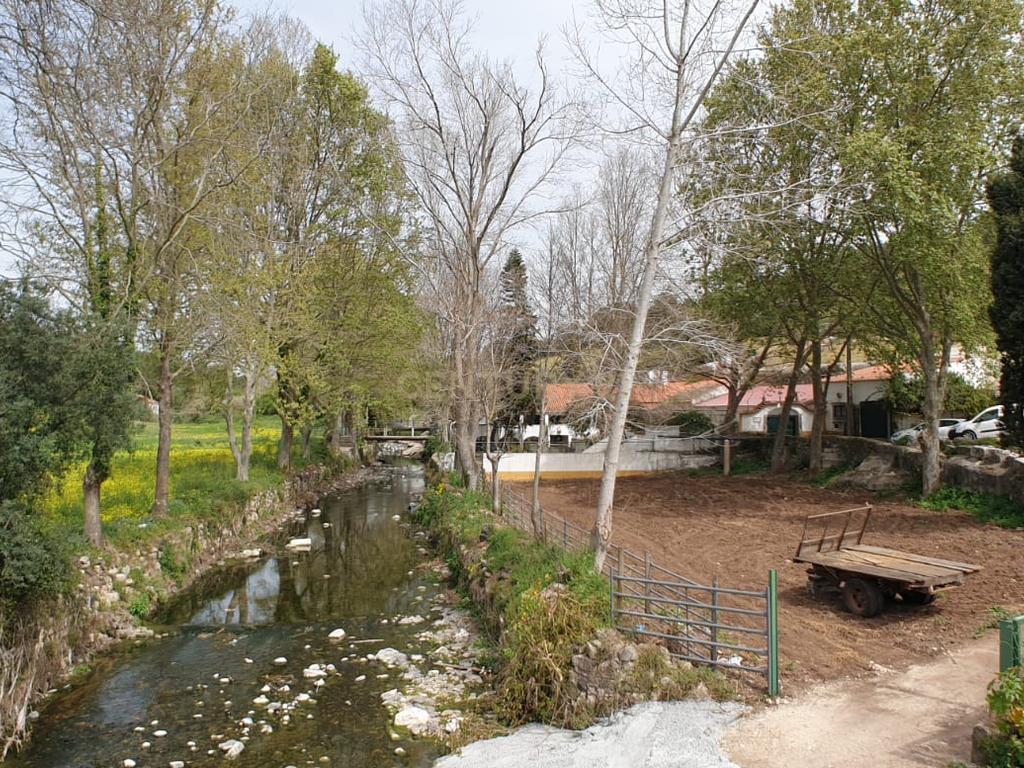 Quinta Centenária à venda em Caxias - Image 27