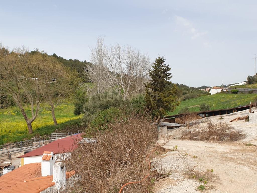 Quinta Centenária à venda em Caxias - Image 11