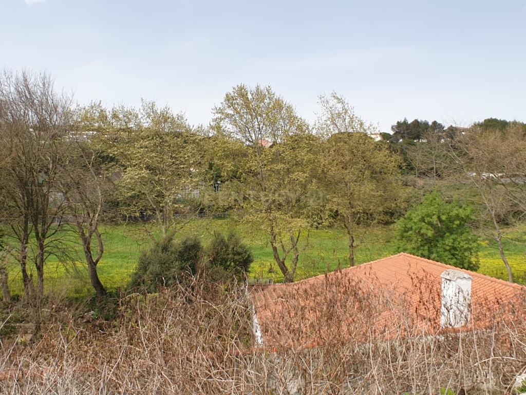 Quinta Centenária à venda em Caxias - Image 12