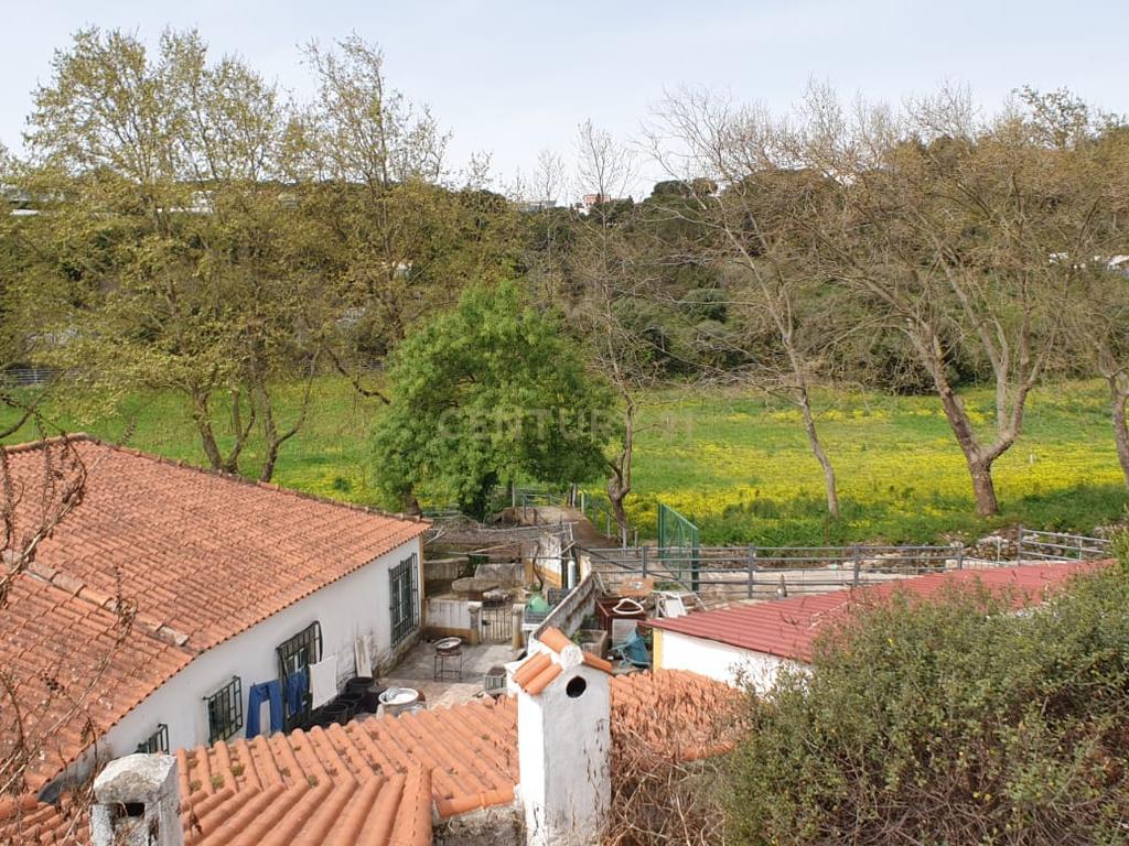 Quinta Centenária à venda em Caxias - Image 15