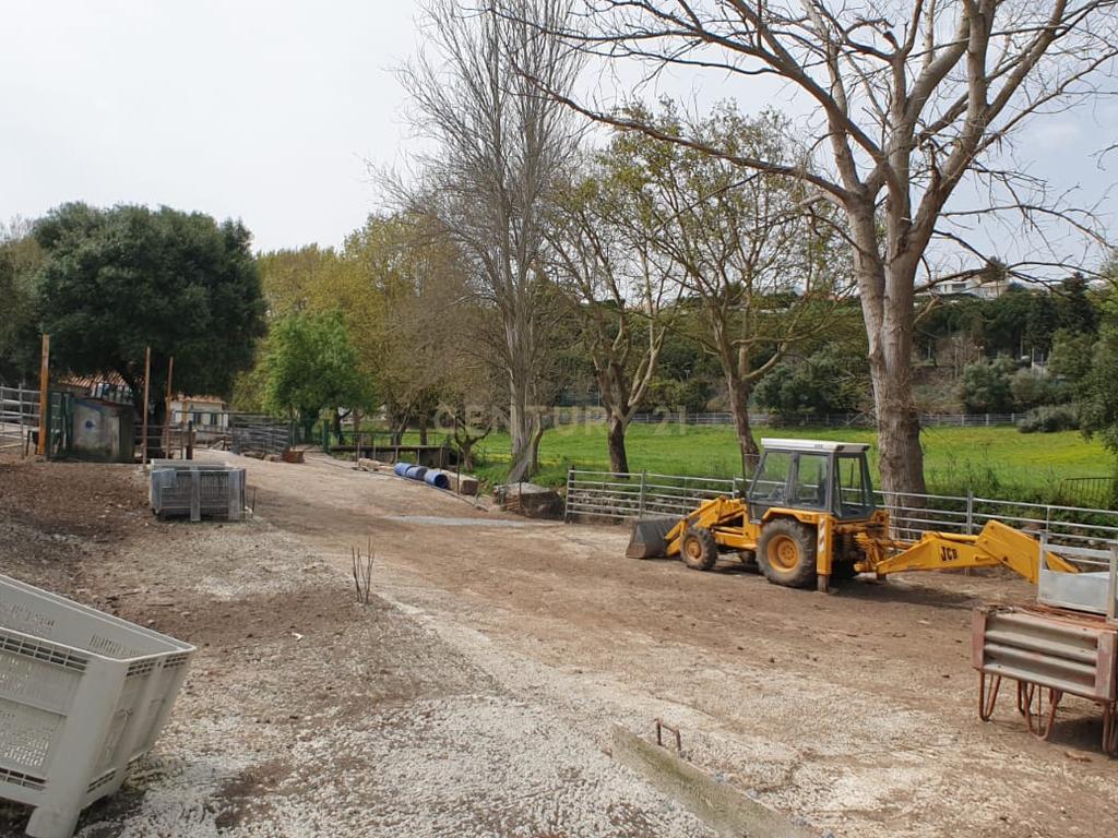 Quinta Centenária à venda em Caxias - Image 22