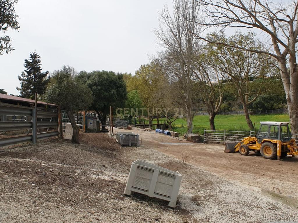 Quinta Centenária à venda em Caxias - Image 18