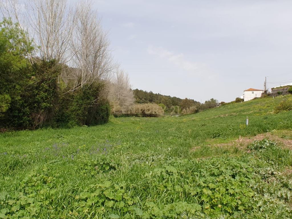 Quinta Centenária à venda em Caxias - Image 21