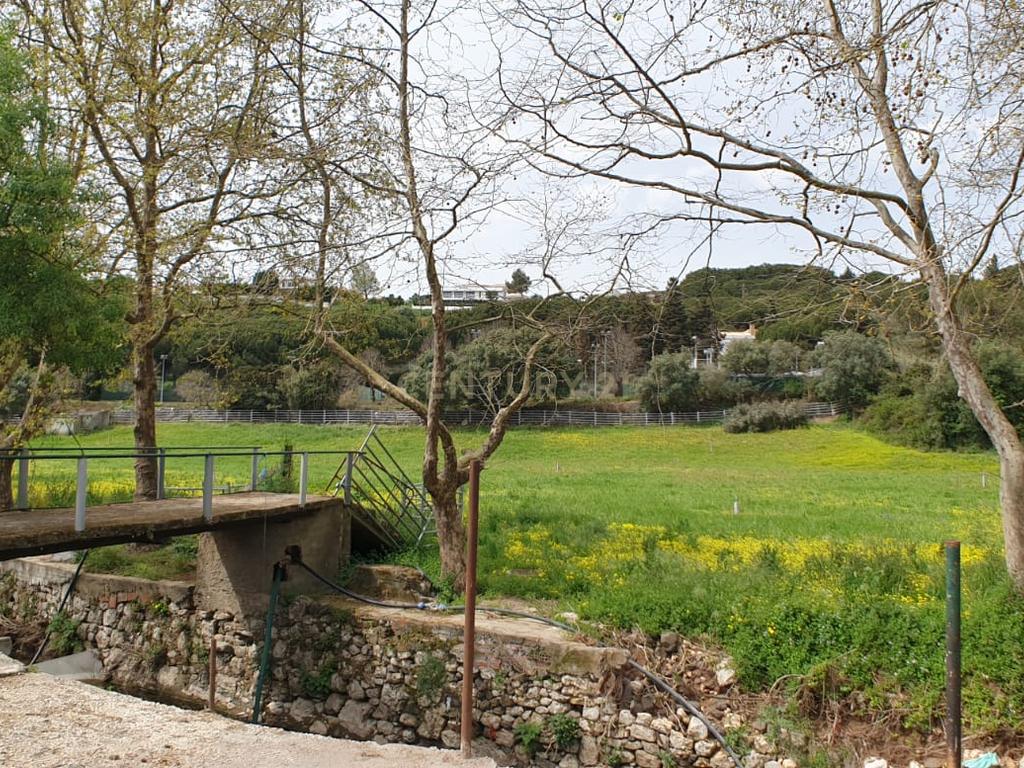 Quinta Centenária à venda em Caxias - Image 19