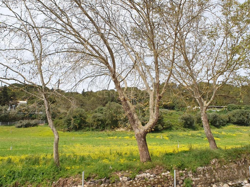 Quinta Centenária à venda em Caxias - Image 20