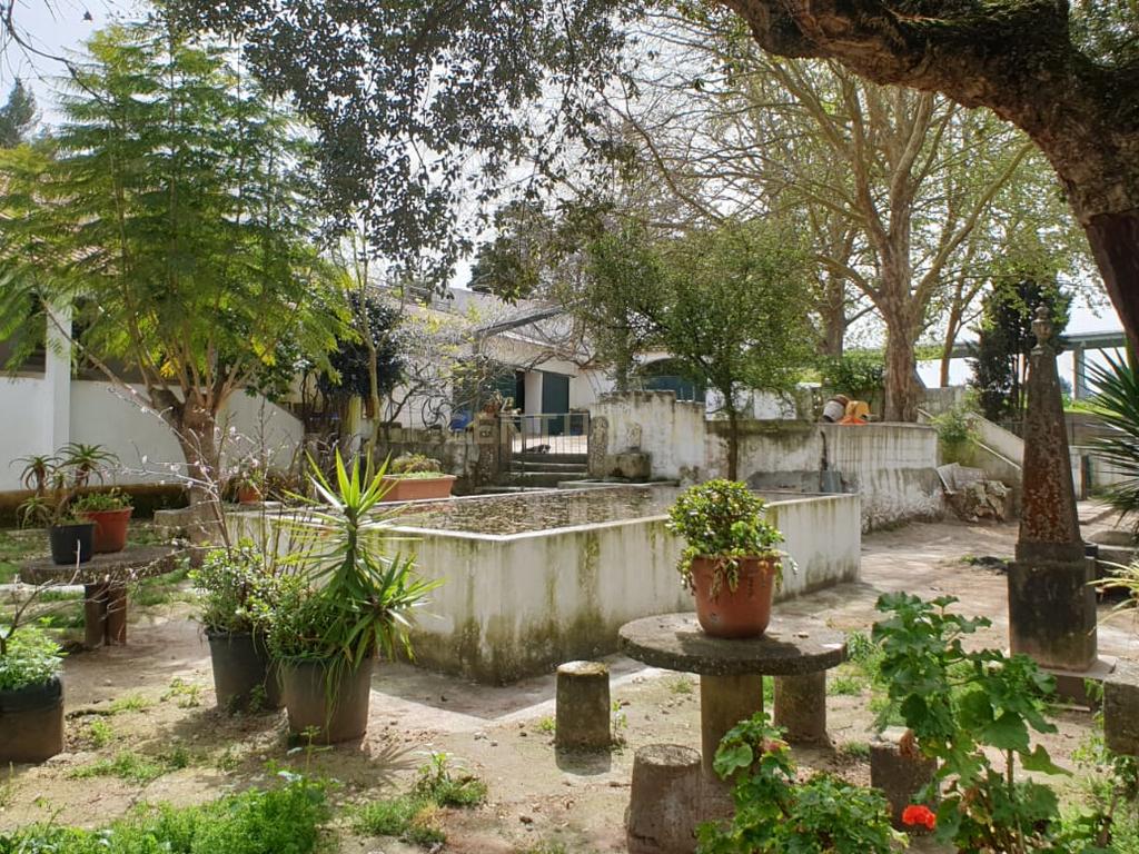 Quinta Centenária à venda em Caxias - Image 29