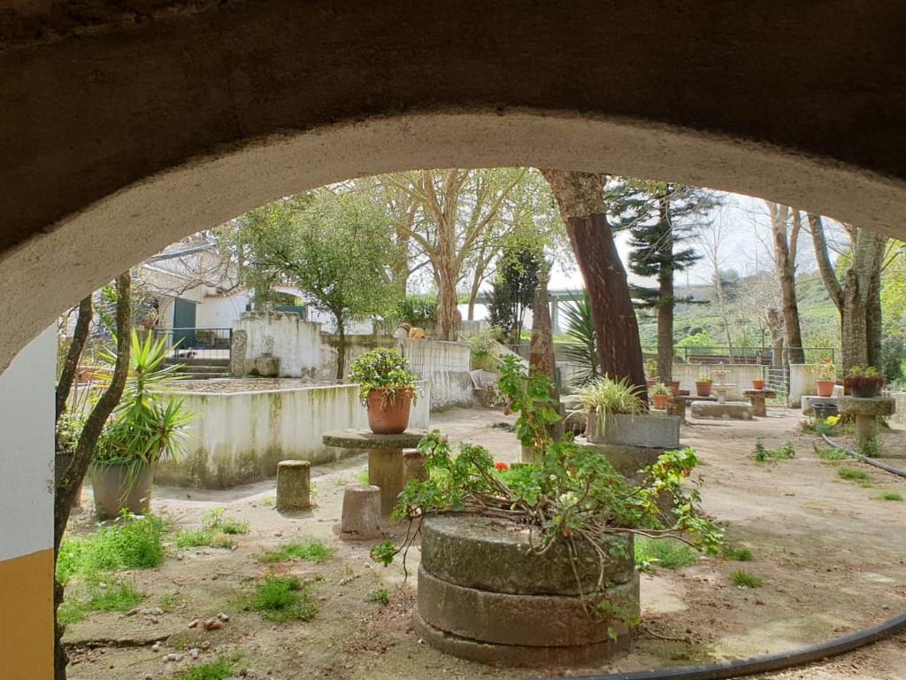 Quinta Centenária à venda em Caxias - Image 39