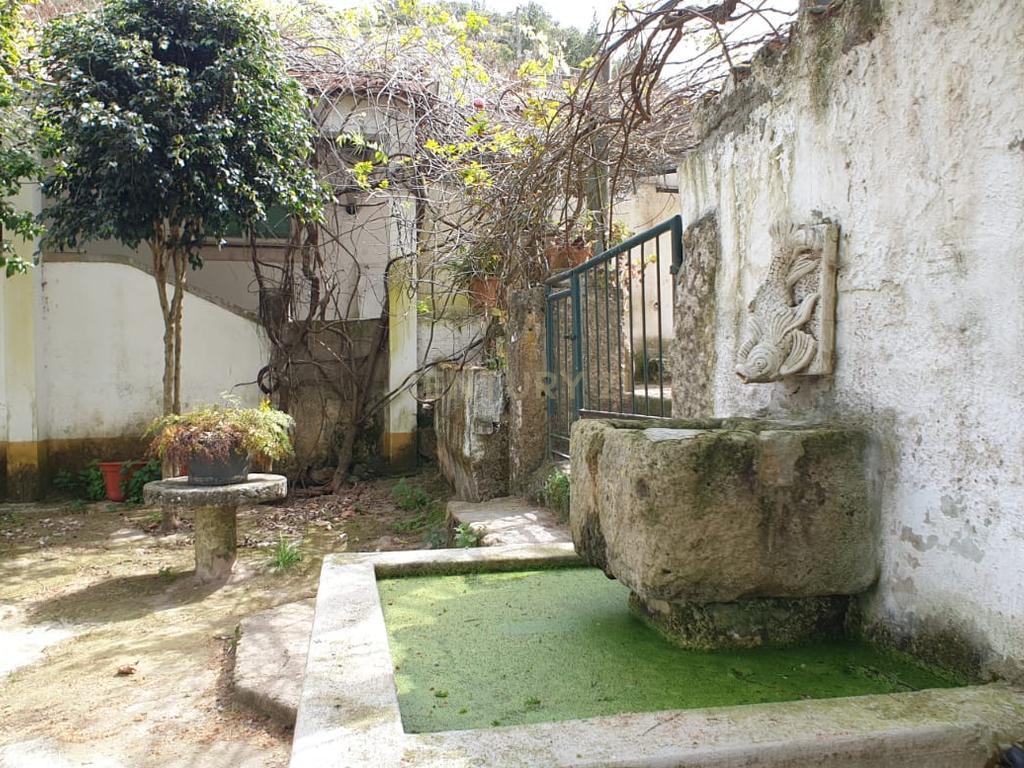 Quinta Centenária à venda em Caxias - Image 35