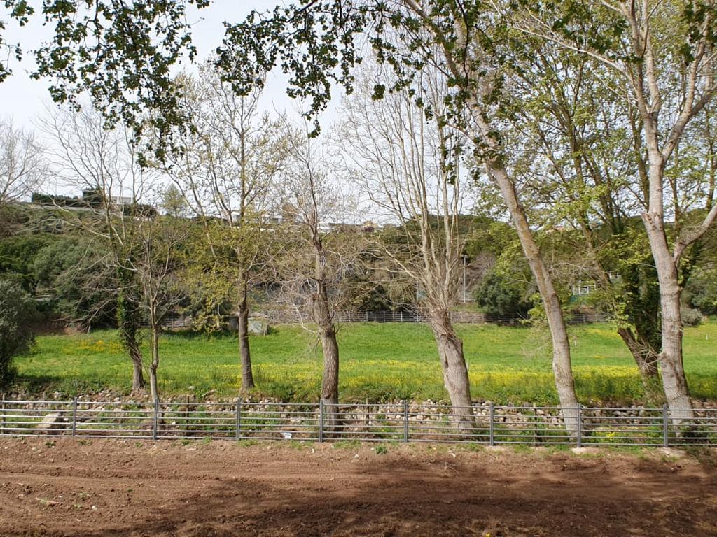 Quinta Centenária à venda em Caxias - Image 51