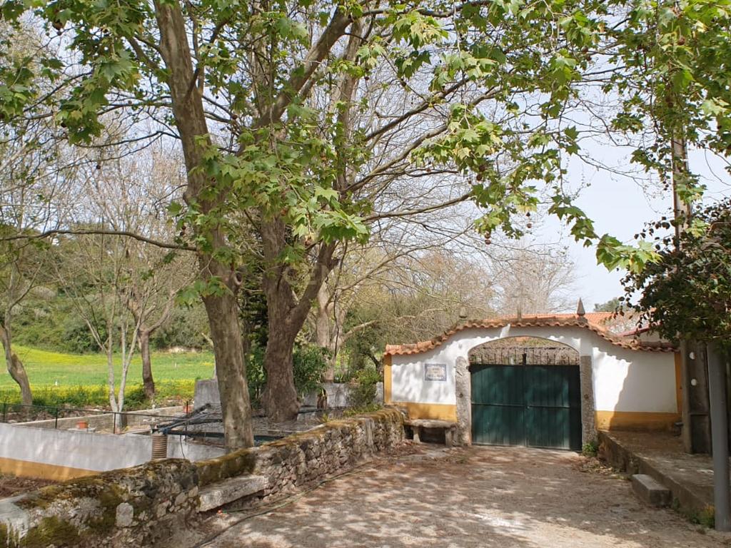 Quinta Centenária à venda em Caxias - Image 42
