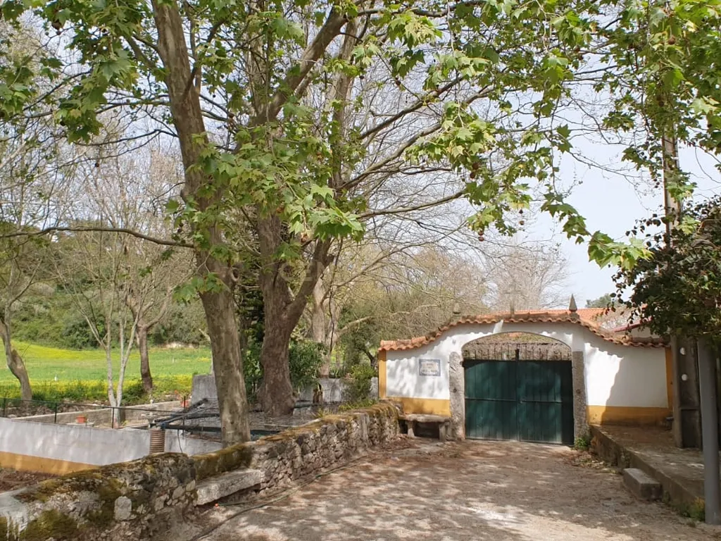 Quinta Centenária à venda em Caxias - Image 42