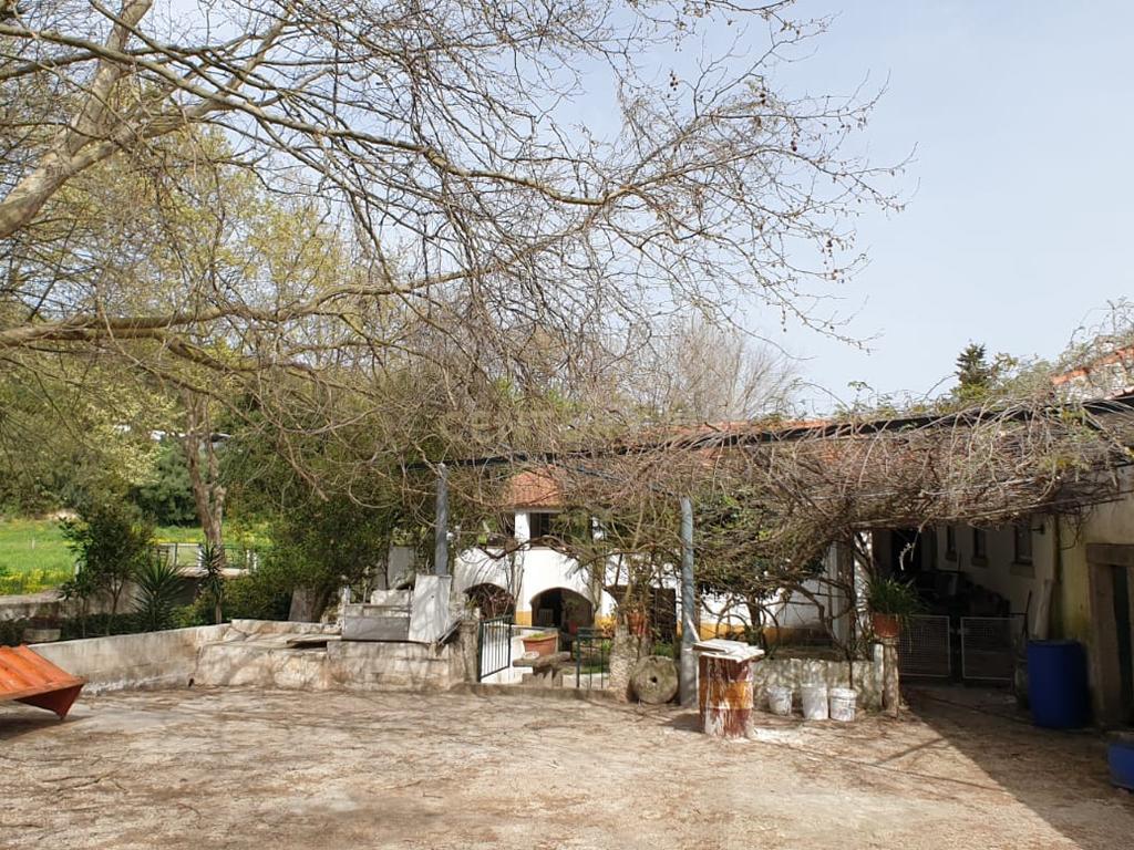 Quinta Centenária à venda em Caxias - Image 45