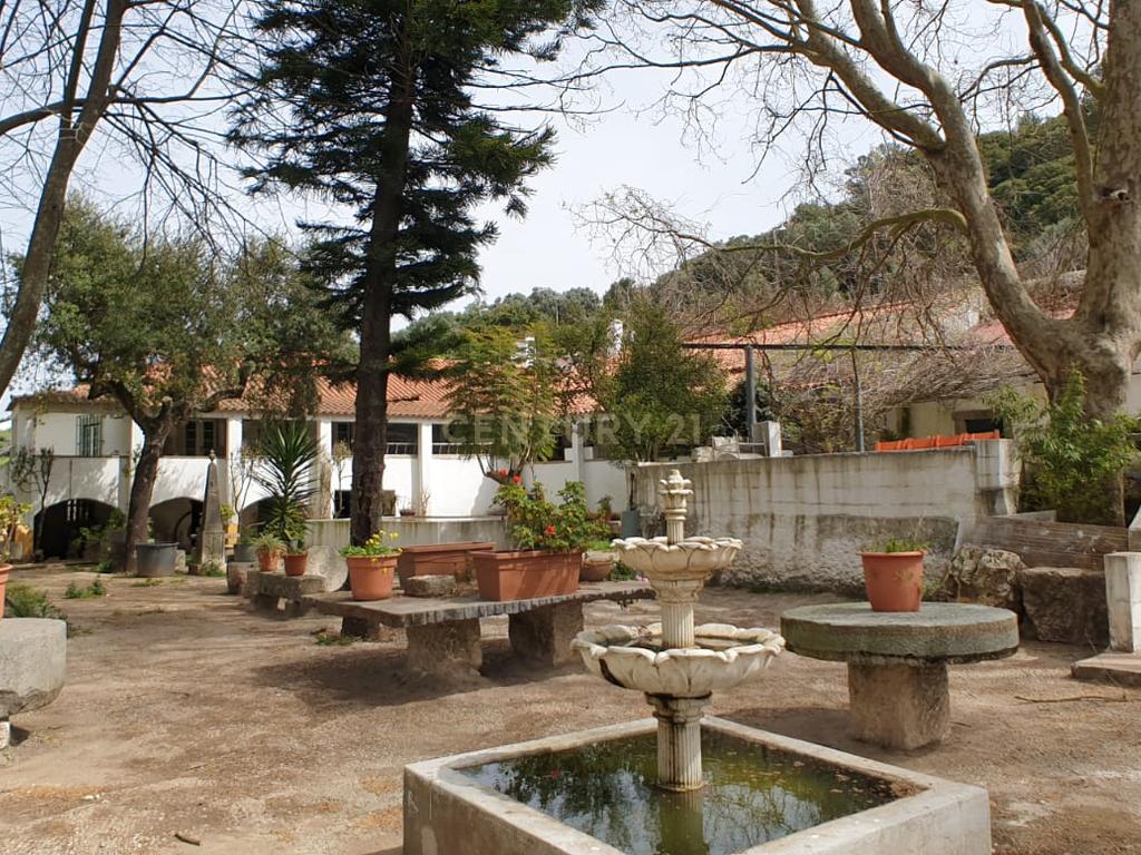 Quinta Centenária à venda em Caxias - Image 48