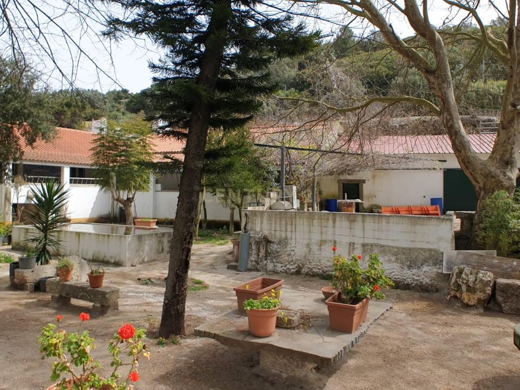 Quinta Centenária à venda em Caxias - Image 50