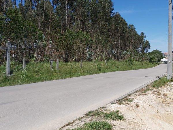 Excelente Terreno Urbano de 11 400 m² em Maceira, Leiria