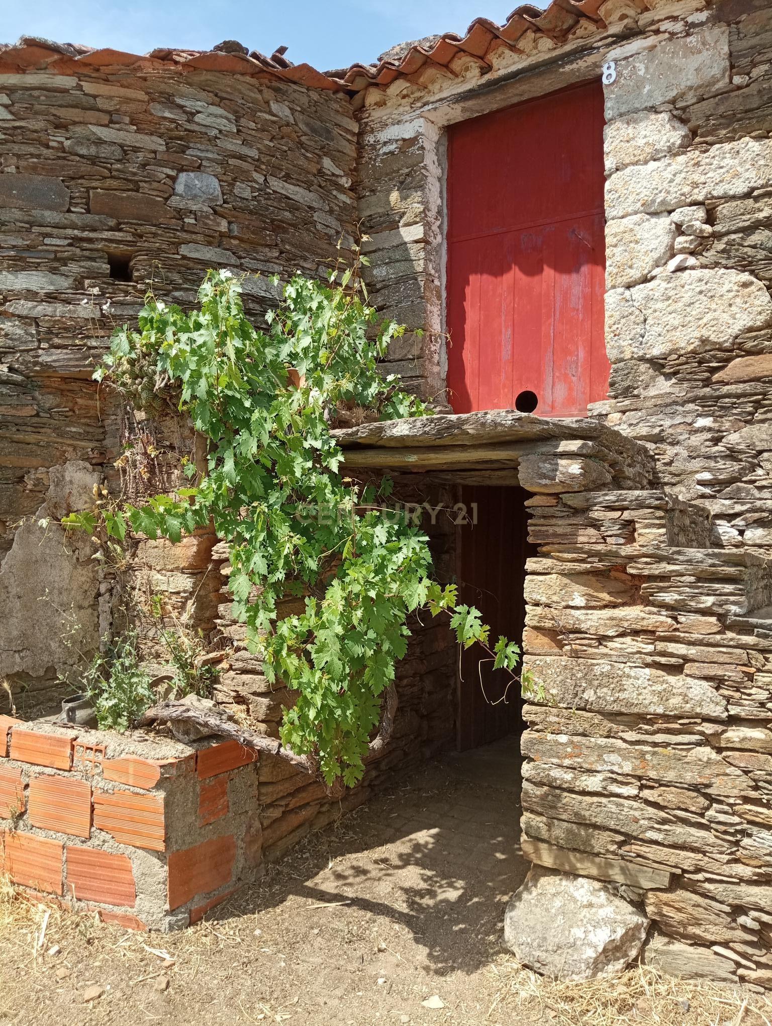 Casa em Xisto em Joaninho, Santo André das Tojeiras - Image 3