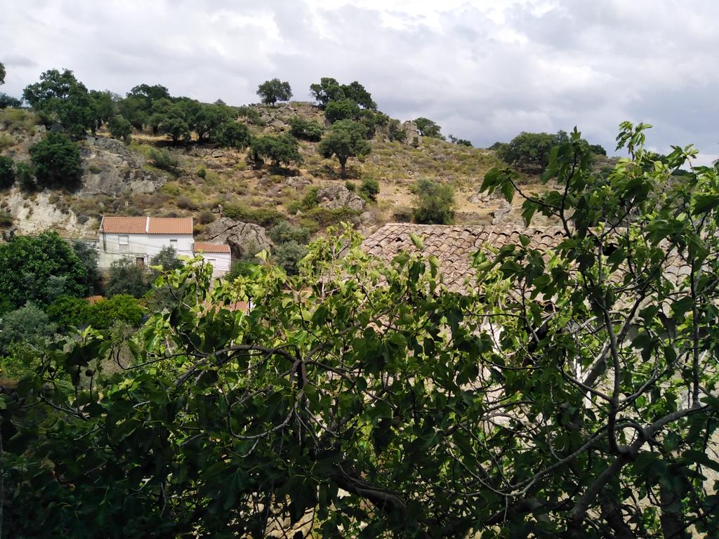 Moradia T6 no Centro de Idanha-a-Nova - Image 26
