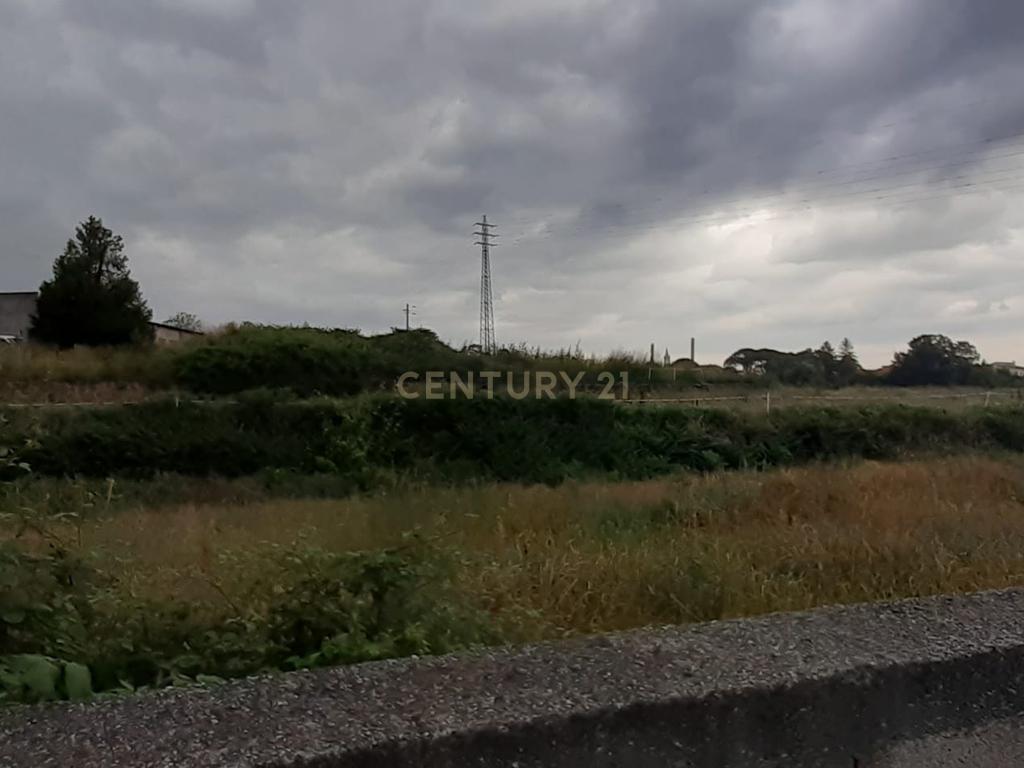 Terreno para construção industrial em zona central de Arcozelo - Image 11