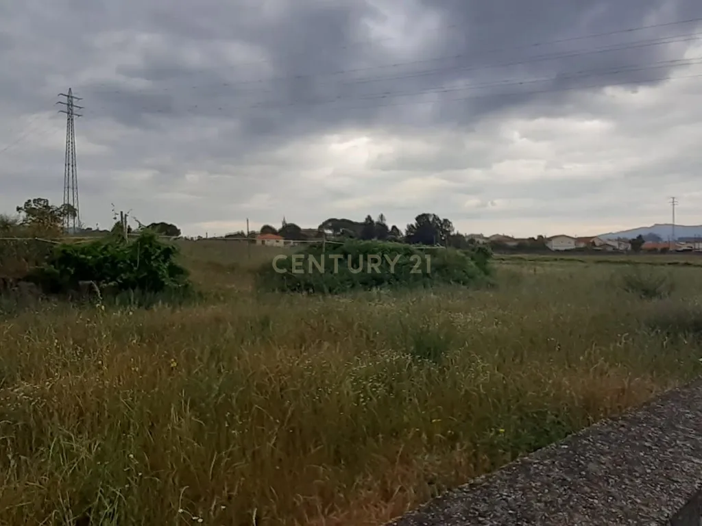 Terreno para construção industrial em zona central de Arcozelo - Image 10