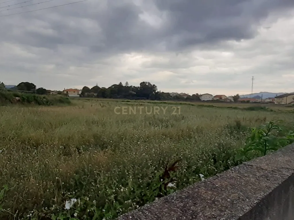 Terreno para construção industrial em zona central de Arcozelo - Image 5