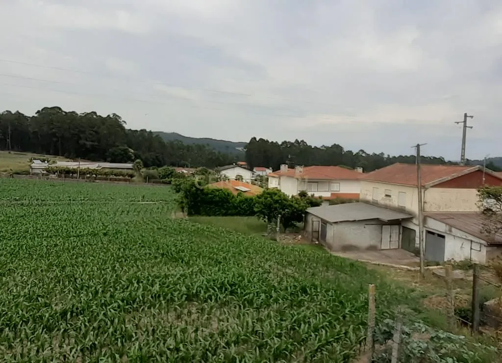 Terreno para construção industrial em zona central de Arcozelo - Image 8