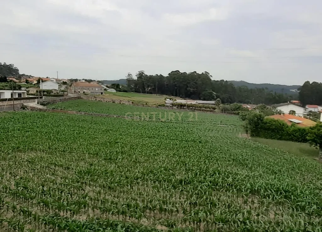 Terreno para construção industrial em zona central de Arcozelo - Image 7