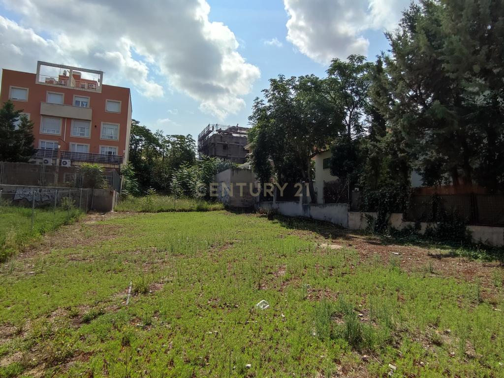 undefined - Image 1