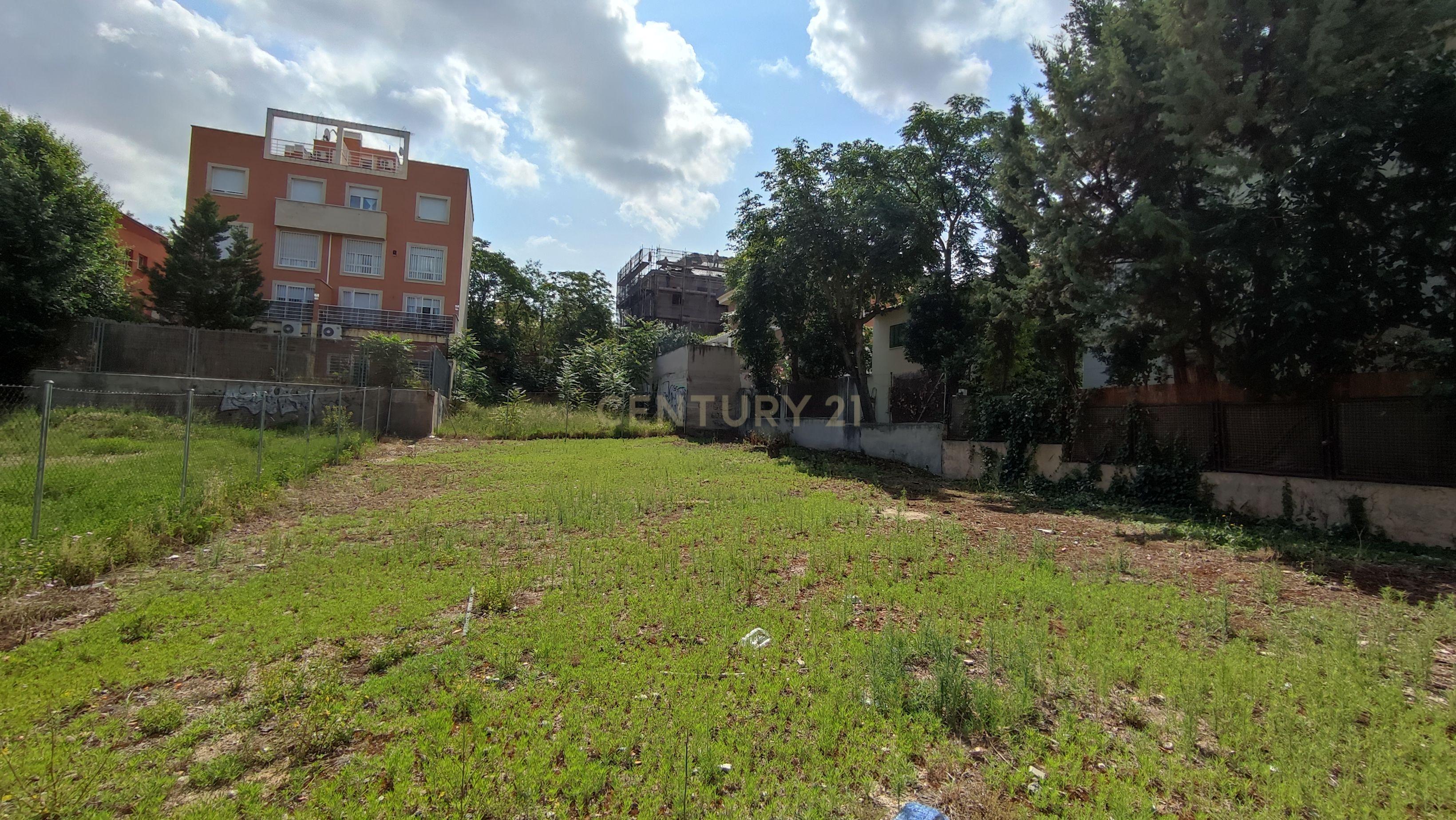 undefined - Image 3