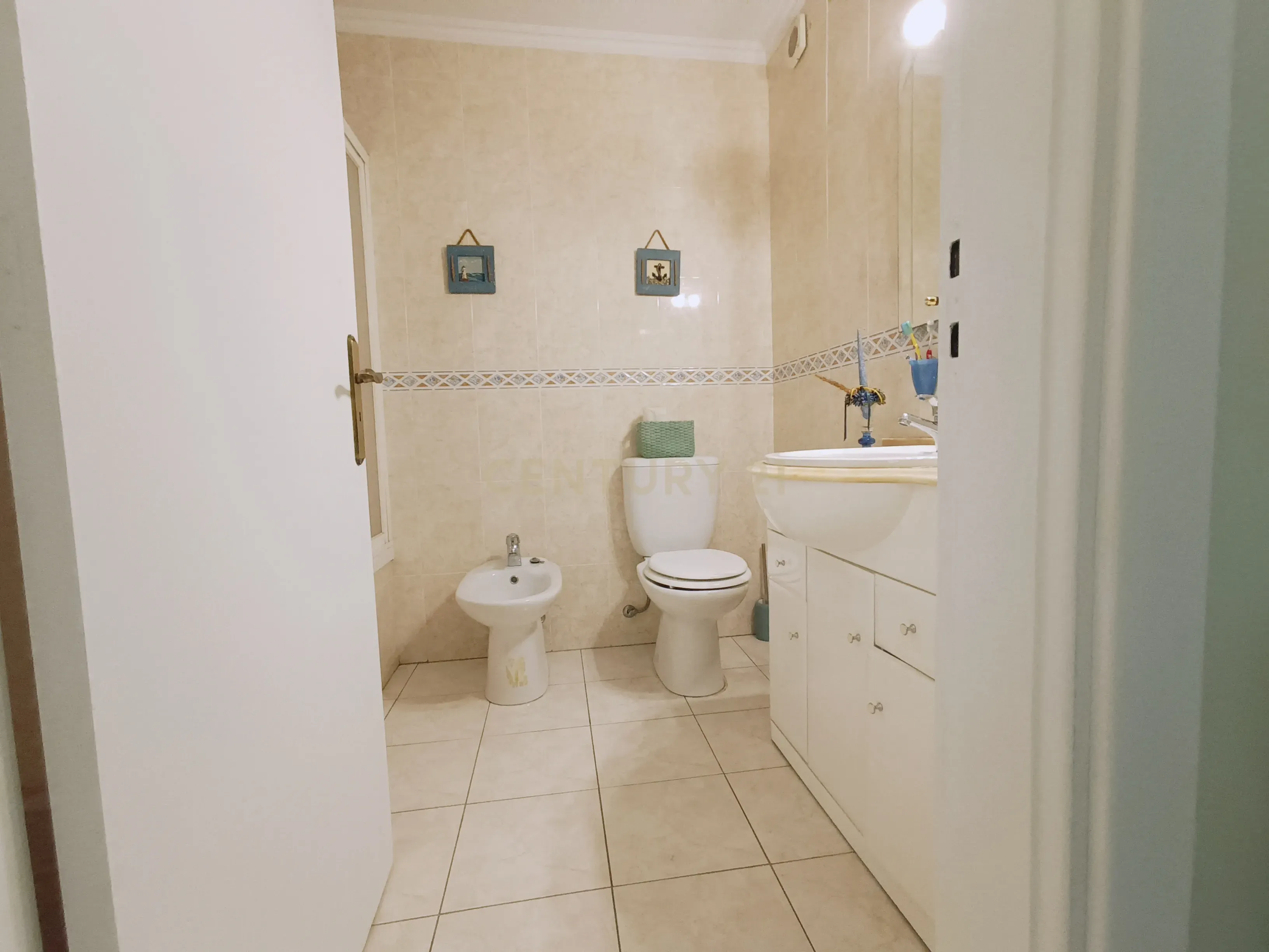 T2 em Aljezur - Image 8