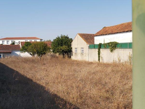 Excelente Lote de Terreno em Calvaria — Perto de Batalha, Porto de Mós e Leiria