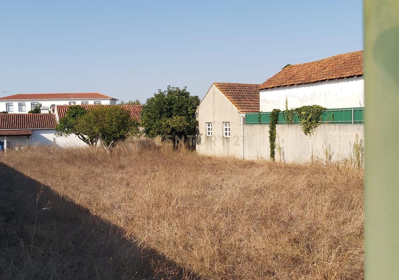 Vista do lote