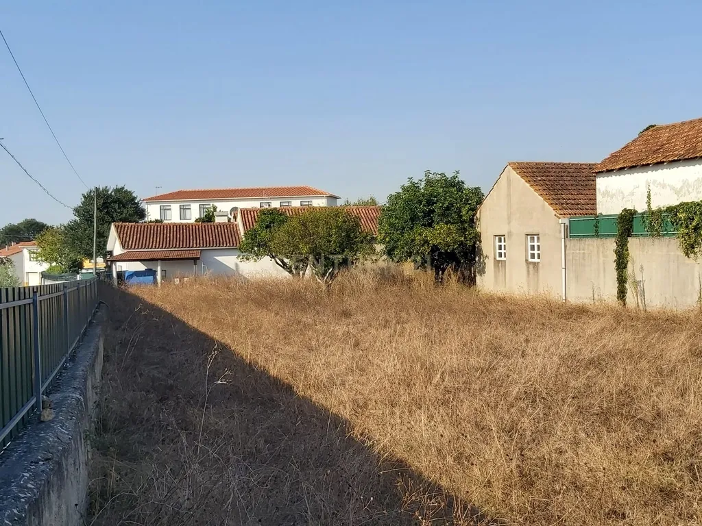 Excelente lote de Terreno || Calvaria - Image 11