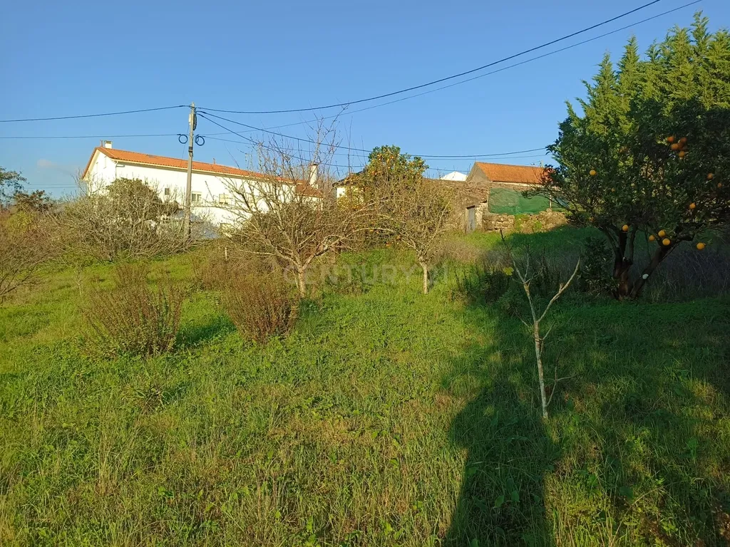 Casa antiga em pedra mais terreno excelente negocio - Image 16