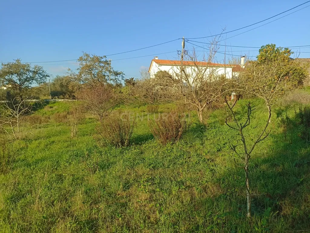 Casa antiga em pedra mais terreno excelente negocio - Image 17