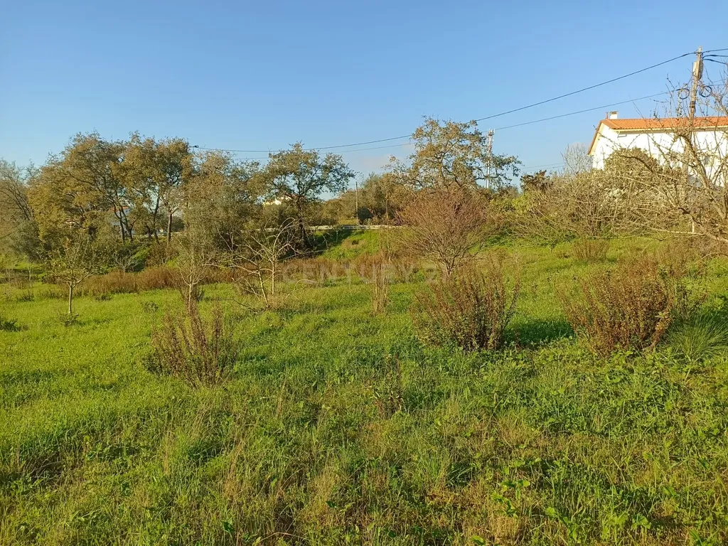Casa antiga em pedra mais terreno excelente negocio - Image 15
